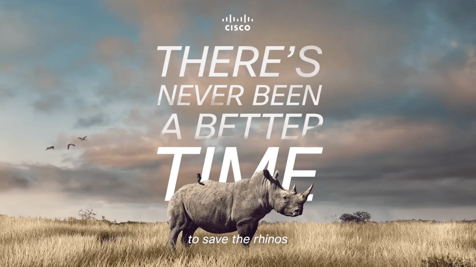 Cisco — 7