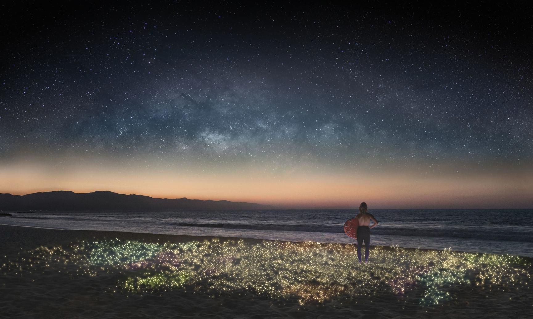 Cisco — The Network Intuitive
